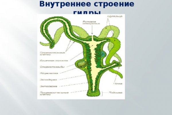 Рабочая ссылка кракен в тор