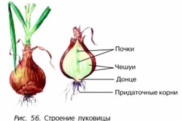 Как найти официальный сайт кракен