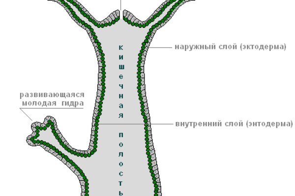 Кракен как зайти ссылка